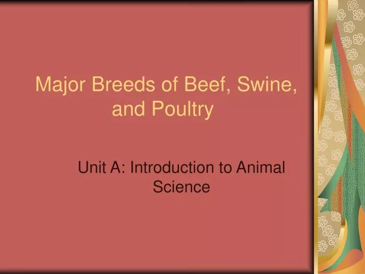 major breeds of beef swine and poultry