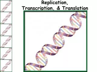 Replication, Transcription, &amp; Translation