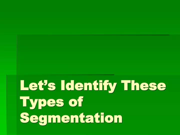 let s identify these types of segmentation