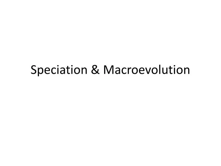 speciation macroevolution