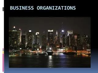 Business Organizations