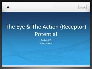 The Eye &amp; The Action (Receptor) Potential