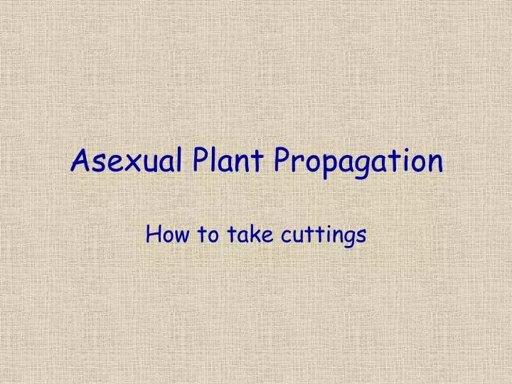 asexual plant propagation