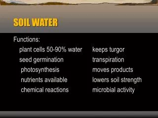 SOIL WATER