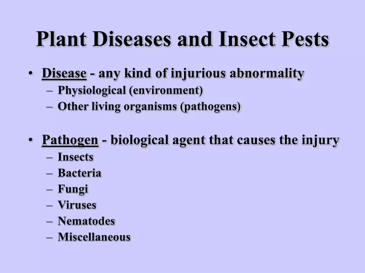 plant diseases and insect pests