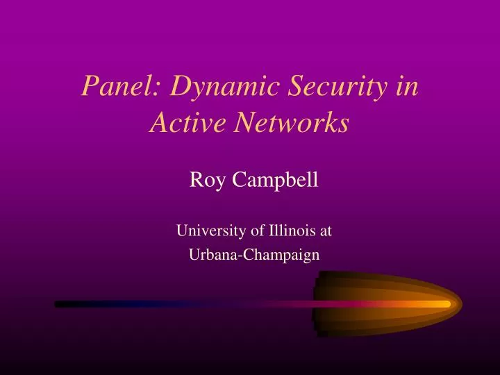 panel dynamic security in active networks