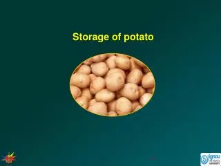 Storage of potato