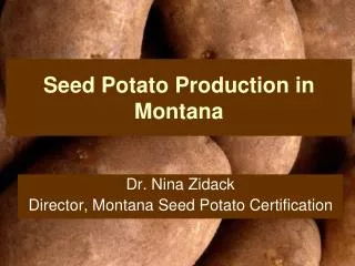 Seed Potato Production in Montana