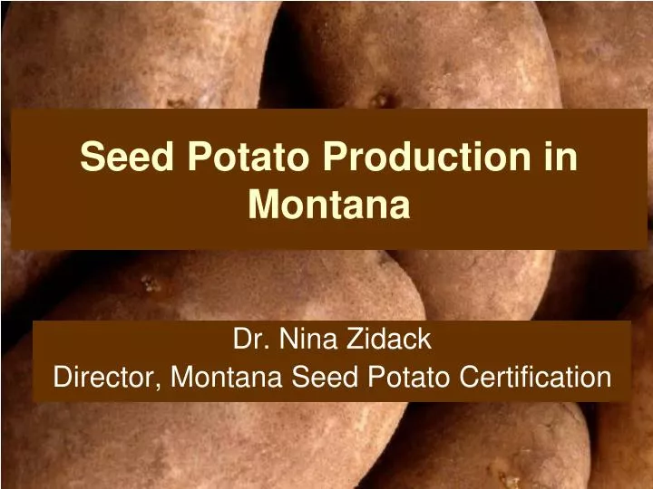 seed potato production in montana