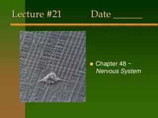 Lecture #21		Date ______