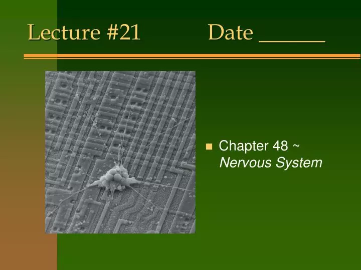 lecture 21 date