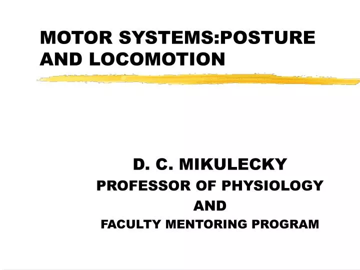 motor systems posture and locomotion