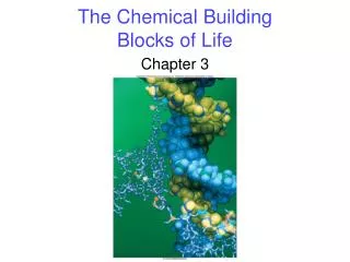 The Chemical Building Blocks of Life