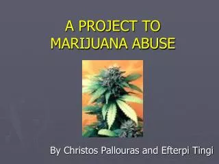 A PROJECT TO MARIJUANA ABUSE