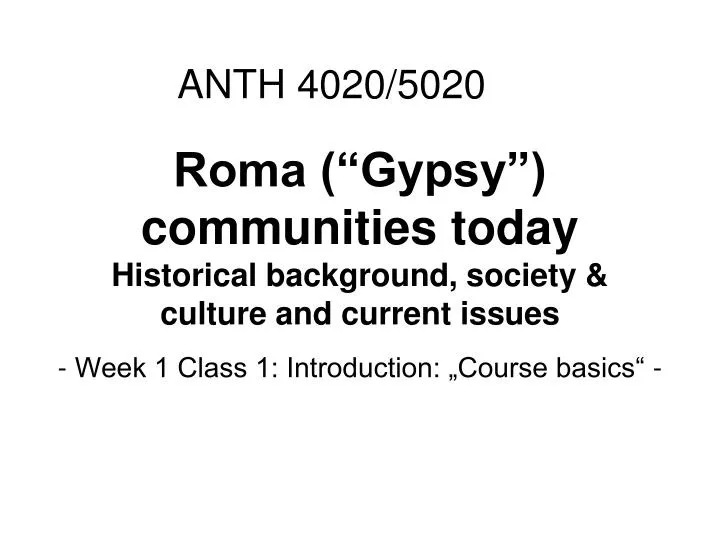 roma gypsy communities today historical background society culture and current issues