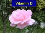 Vitamin D - slide 1