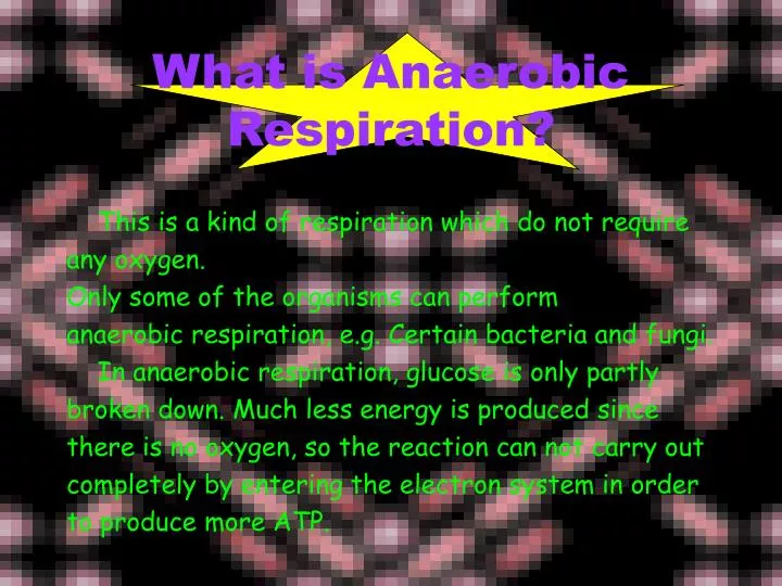 what is anaerobic respiration