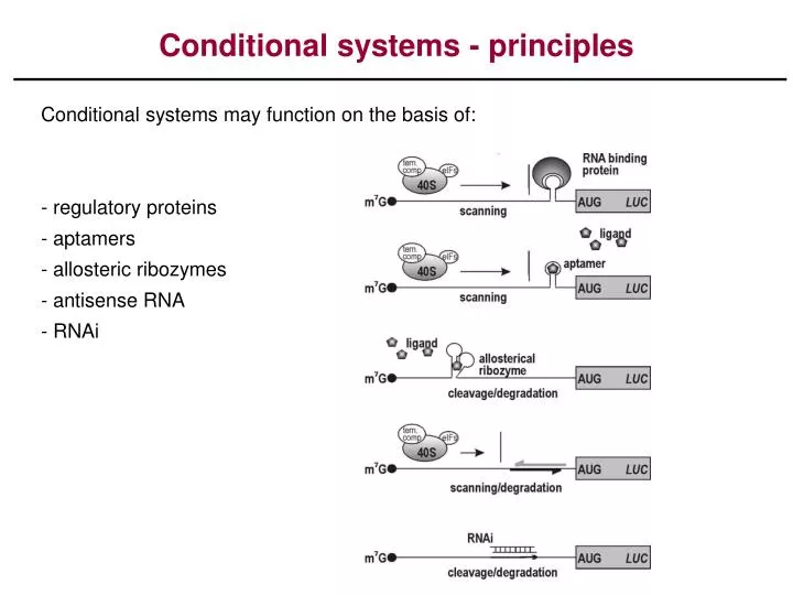 conditional systems principles
