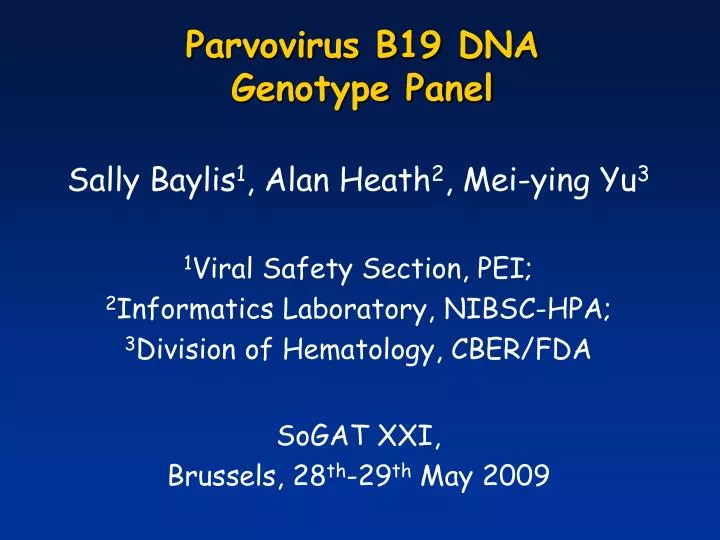 parvovirus b19 dna genotype panel