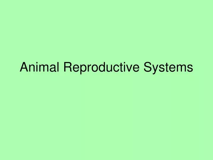 animal reproductive systems