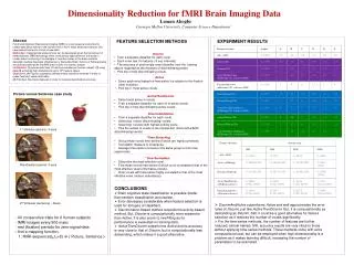 Dimensionality Reduction for fMRI Brain Imaging Data