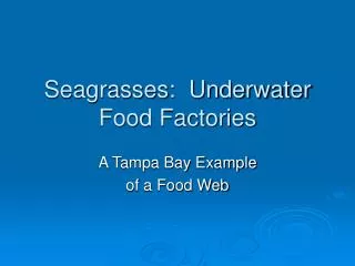 Seagrasses: Underwater Food Factories