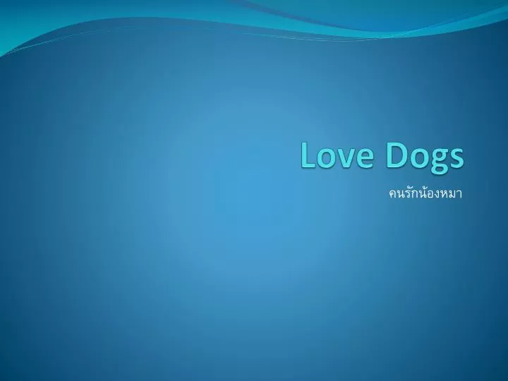 love dogs