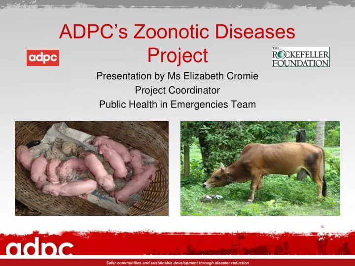 adpc s zoonotic diseases project