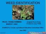 WEED IDENTIFICATION - slide 1