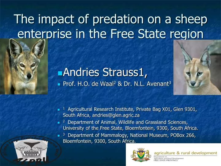 the impact of predation on a sheep enterprise in the free state region