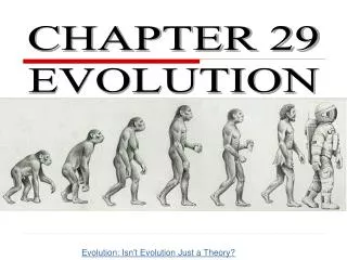 CHAPTER 29 EVOLUTION