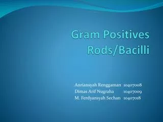 gram positives rods bacilli