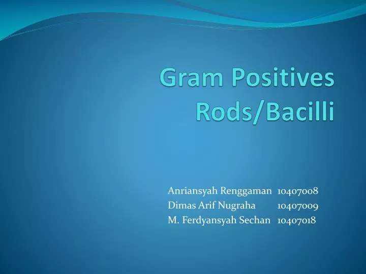gram positives rods bacilli