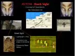 Hawk Sight: Lightweight Radio Battery-Powered Scope Attachment - slide 1