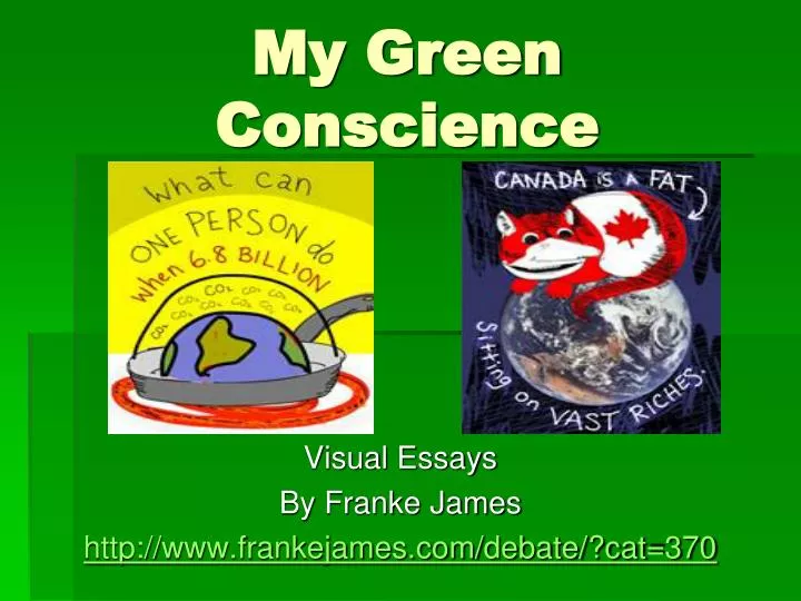 my green conscience
