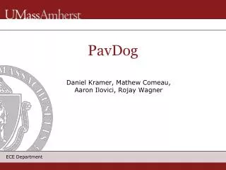 pavdog