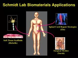 Schmidt Lab Biomaterials Applications