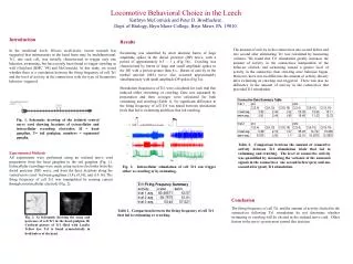 Locomotive Behavioral Choice in the Leech Kathryn McCormick and Peter D. Brodfuehrer.
