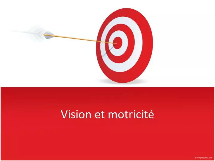 vision et motricit