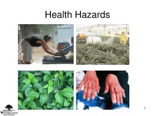 Health Hazards