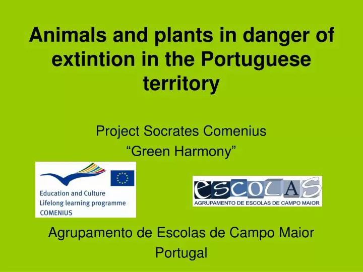 animals and plants in danger of extintion in the portuguese territory