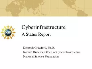 Cyberinfrastructure A Status Report