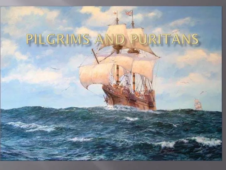 pilgrims and puritans