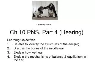 Ch 10 PNS, Part 4 (Hearing)