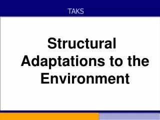 Structural Adaptations to the Environment