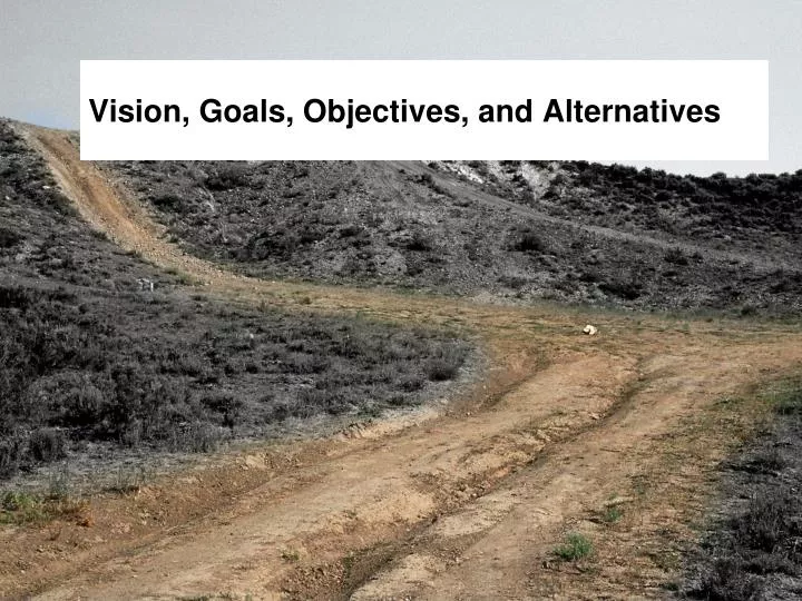 vision goals objectives and alternatives