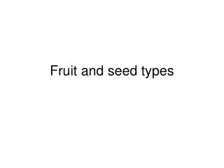 Fruit and seed types
