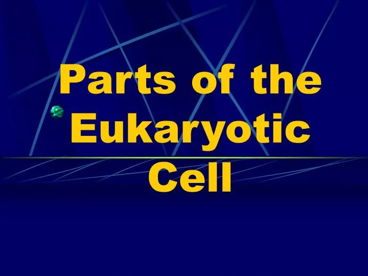 parts of the eukaryotic cell