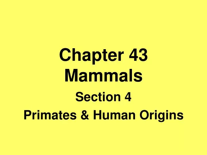 chapter 43 mammals
