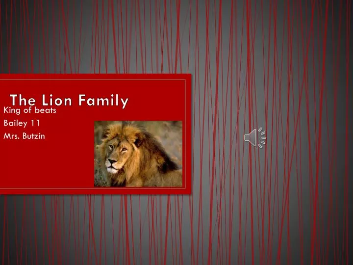 the lion family